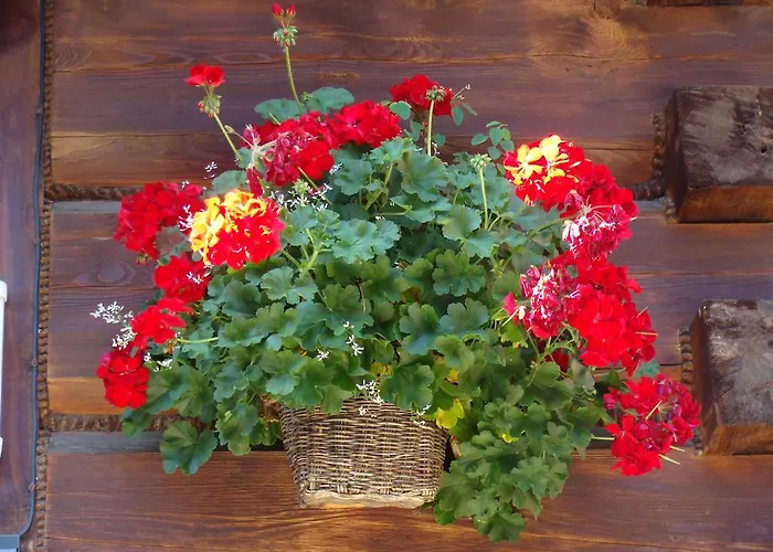 Patchwork Barn Holiday home *